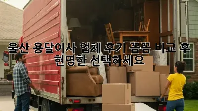 울산 용달이사 업체 후기: 꼼꼼 비교 후 현명한 선택하세요!