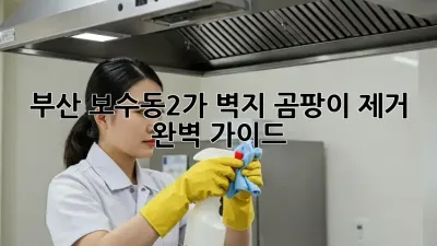 부산 보수동2가 벽지 곰팡이 제거 완벽 가이드